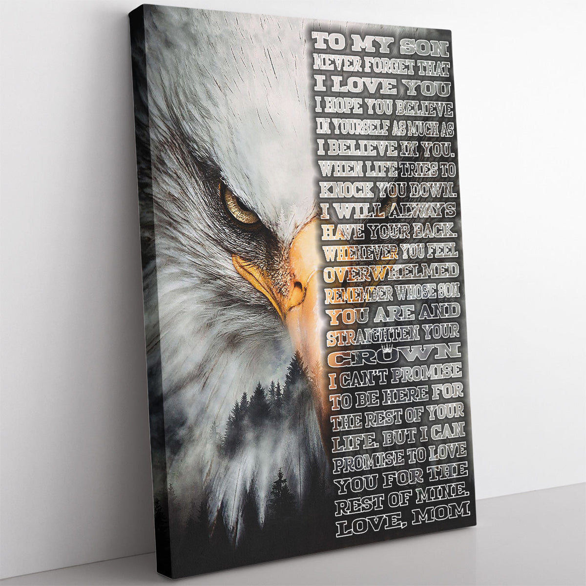 Personalized Canvas Painting, Canvas Hanging Wall Art Gift For Son, To My Son Wall Art Framed Prints, Canvas