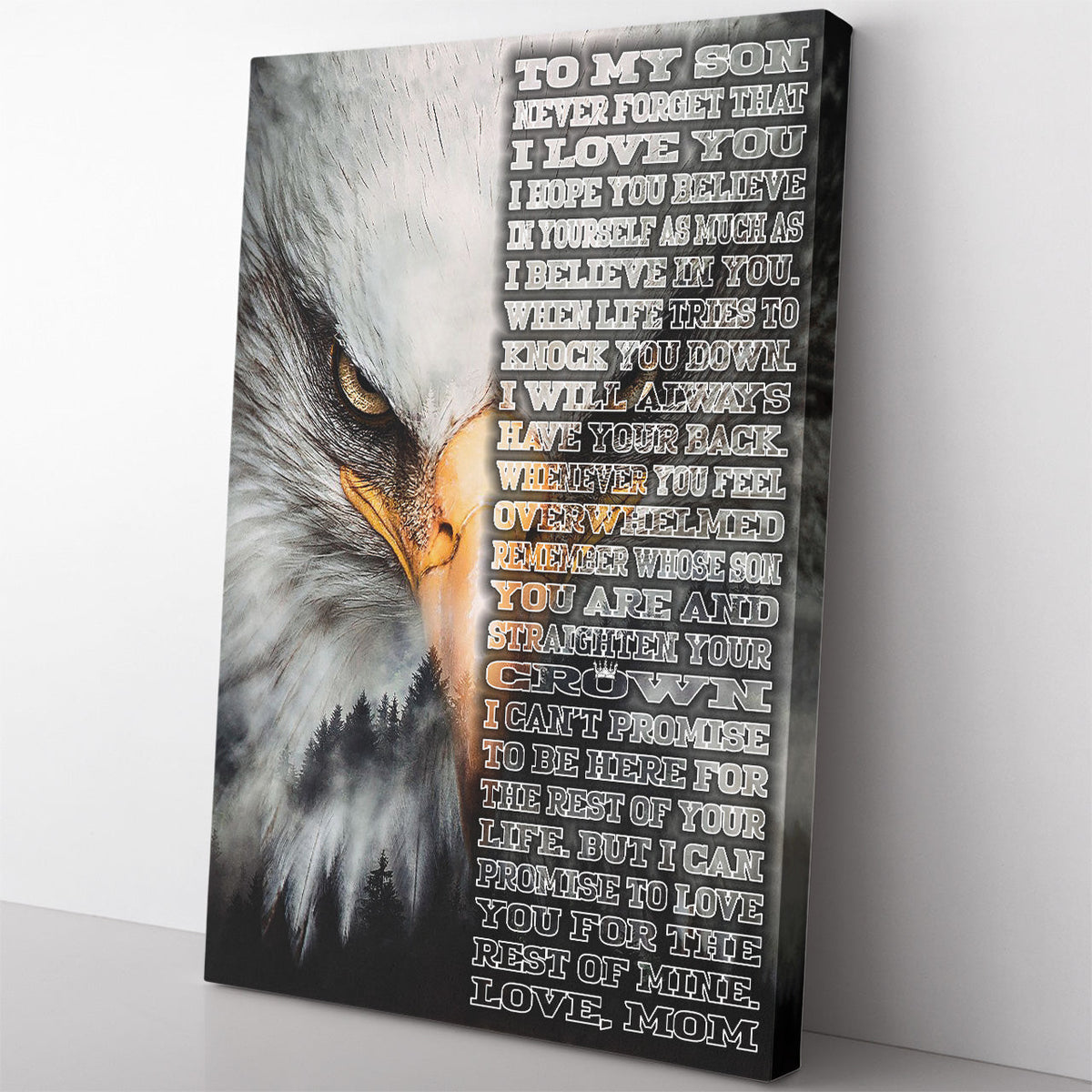 Personalized Canvas Painting, Canvas Hanging Wall Art Gift For Son, To My Son Wall Art Framed Prints, Canvas