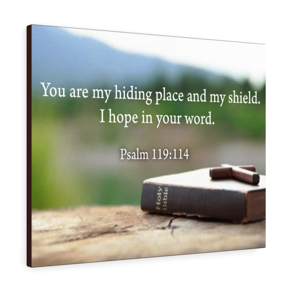Scripture Canvas Hiding Place Psalm 119:114 Christian Wall Art Bible Verse Meaningful Home Decor Gifts Unique Housewarming Gift Ideas Framed Prints, Canvas