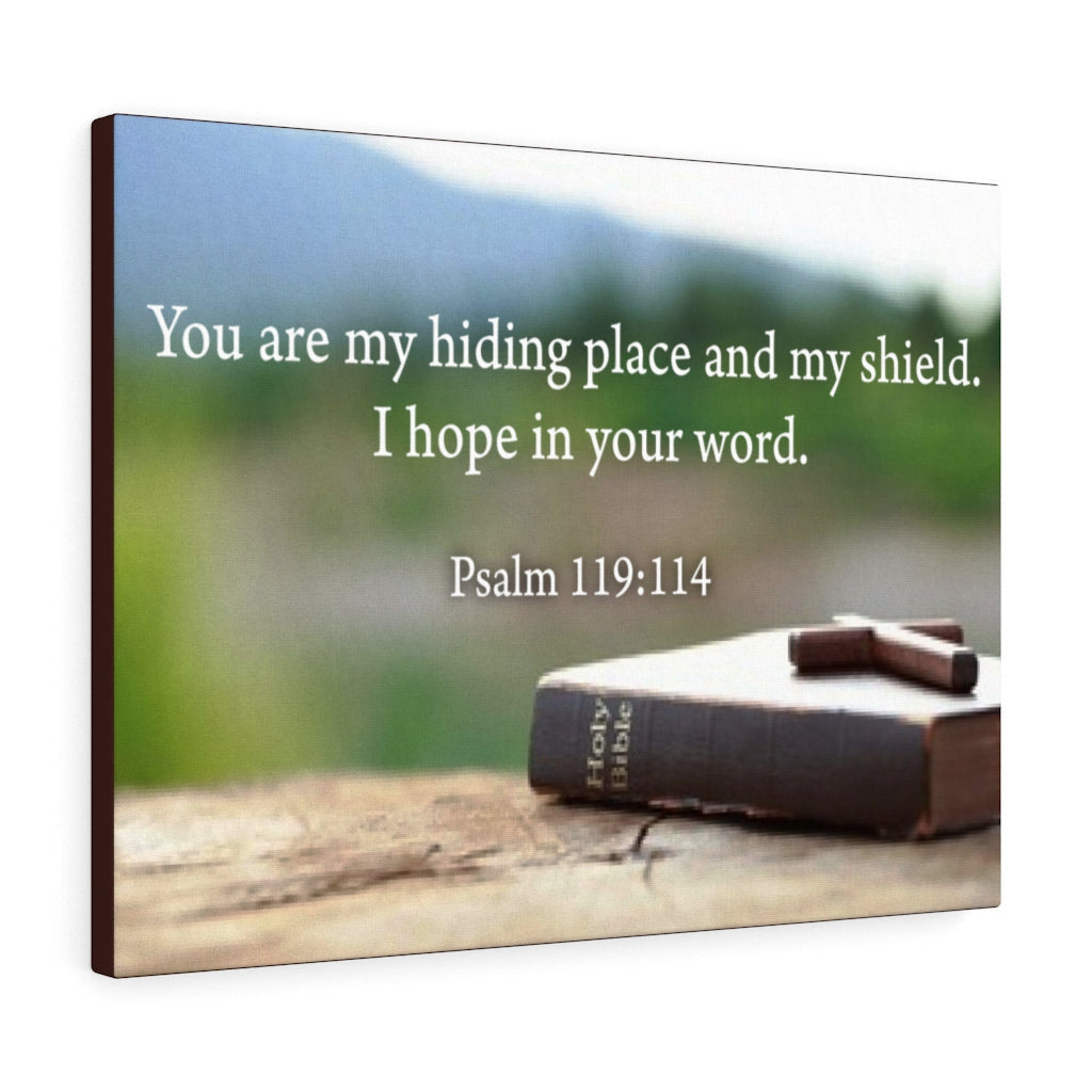 Scripture Canvas Hiding Place Psalm 119:114 Christian Wall Art Bible Verse Meaningful Home Decor Gifts Unique Housewarming Gift Ideas Framed Prints, Canvas