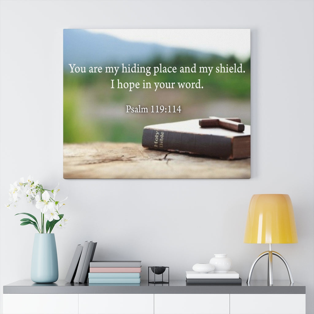 Scripture Canvas Hiding Place Psalm 119:114 Christian Wall Art Bible Verse Meaningful Home Decor Gifts Unique Housewarming Gift Ideas Framed Prints, Canvas
