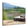Scripture Canvas Hiding Place Psalm 119:114 Christian Wall Art Bible Verse Meaningful Home Decor Gifts Unique Housewarming Gift Ideas Framed Prints, Canvas