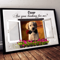 Custom Photo Pet Lovers Are You Looking For Me Personalized Poster Landscape