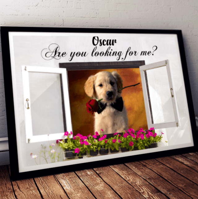 Custom Photo Pet Lovers Are You Looking For Me Personalized Poster Landscape