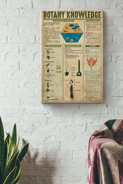 Botany Knowledge Things You Need To Know About Botany Poster Canvas Gallery Wrapped Canvas Framed Gift Idea