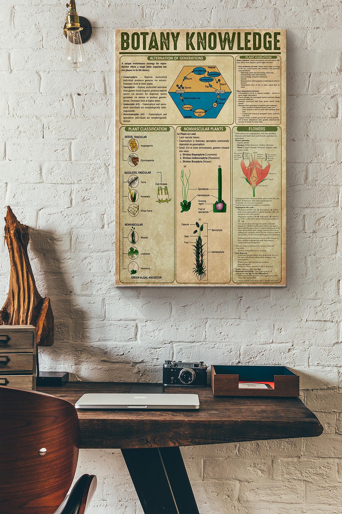 Botany Knowledge Things You Need To Know About Botany Poster Canvas Gallery Wrapped Canvas Framed Gift Idea