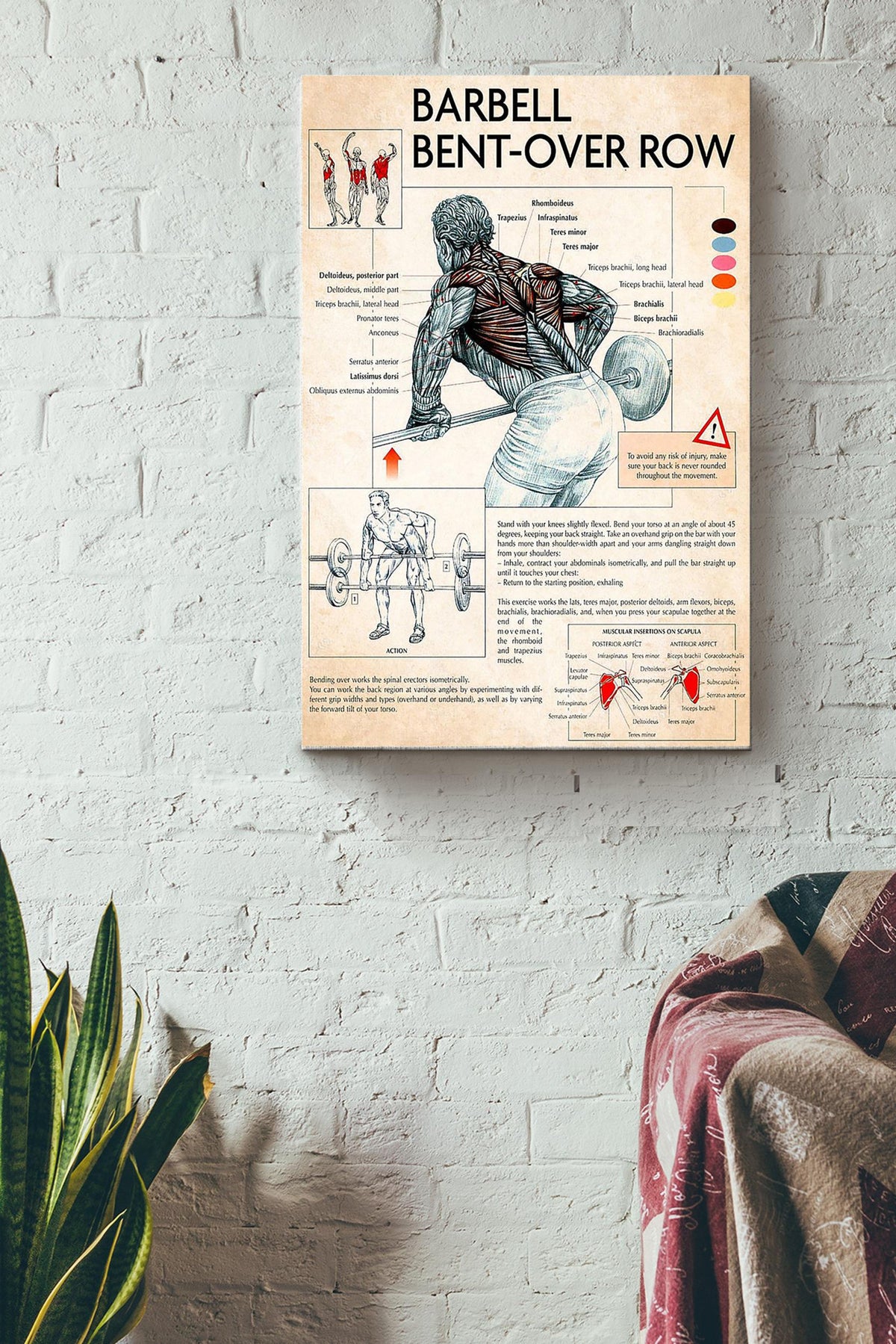 Barbell Bent Over Row Fitness Poster Canvas Gallery Wrapped Canvas Framed Gift Idea