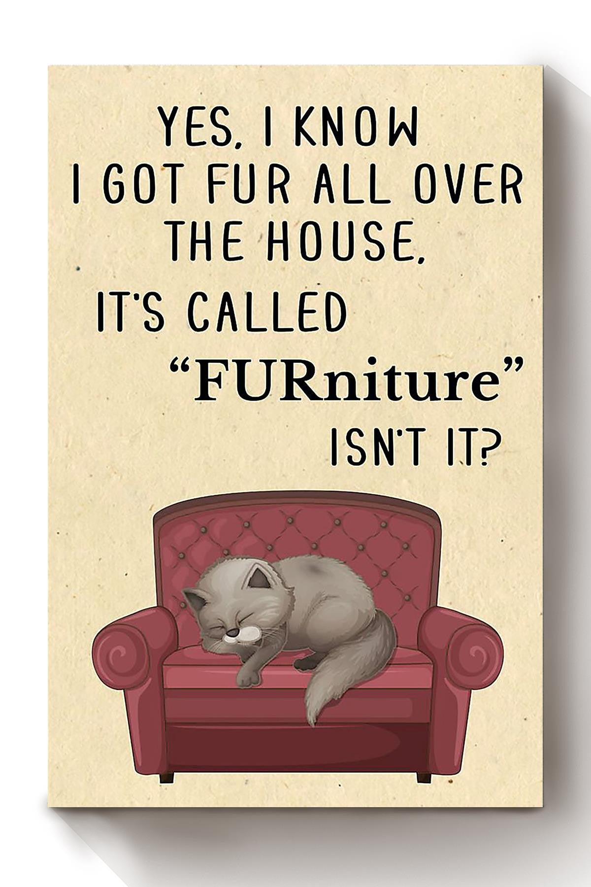 Cat Its Called Furniture Isnt It Animal Wall Art Gift For Cat Lover International Cat Day Kitten Foster Livingroom Decor Canvas Framed Prints, Canvas
