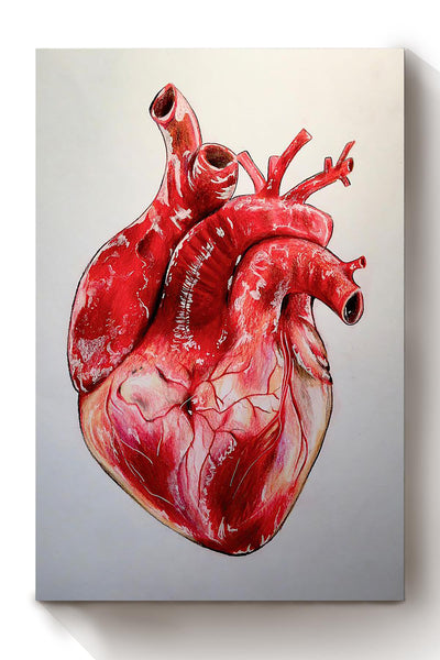 Cardiologist Amazing Heart Drawing Art Poster Canvas