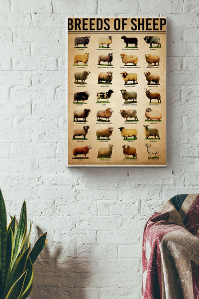 Breeds Of Sheep Farm Wall Decor Poster Canvas Gallery Wrapped Canvas Framed Gift Idea
