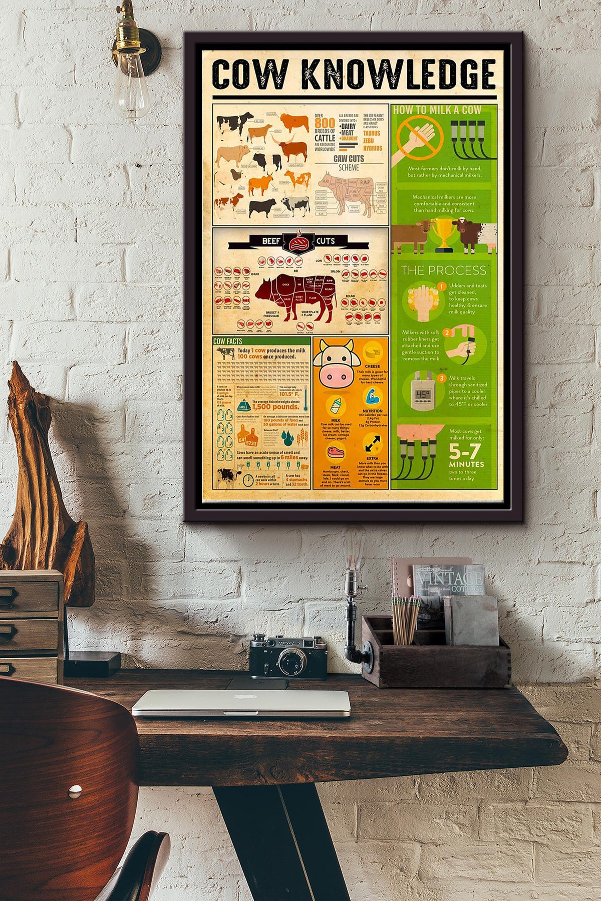 Cow Knowledge Things You Need To Know About Cow Poster Framed Matte Canvas