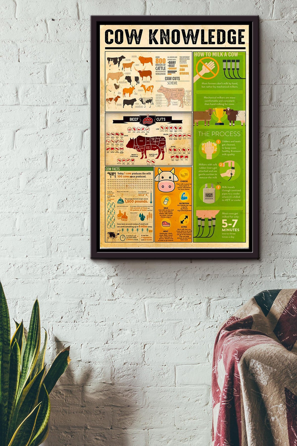 Cow Knowledge Things You Need To Know About Cow Poster Framed Matte Canvas