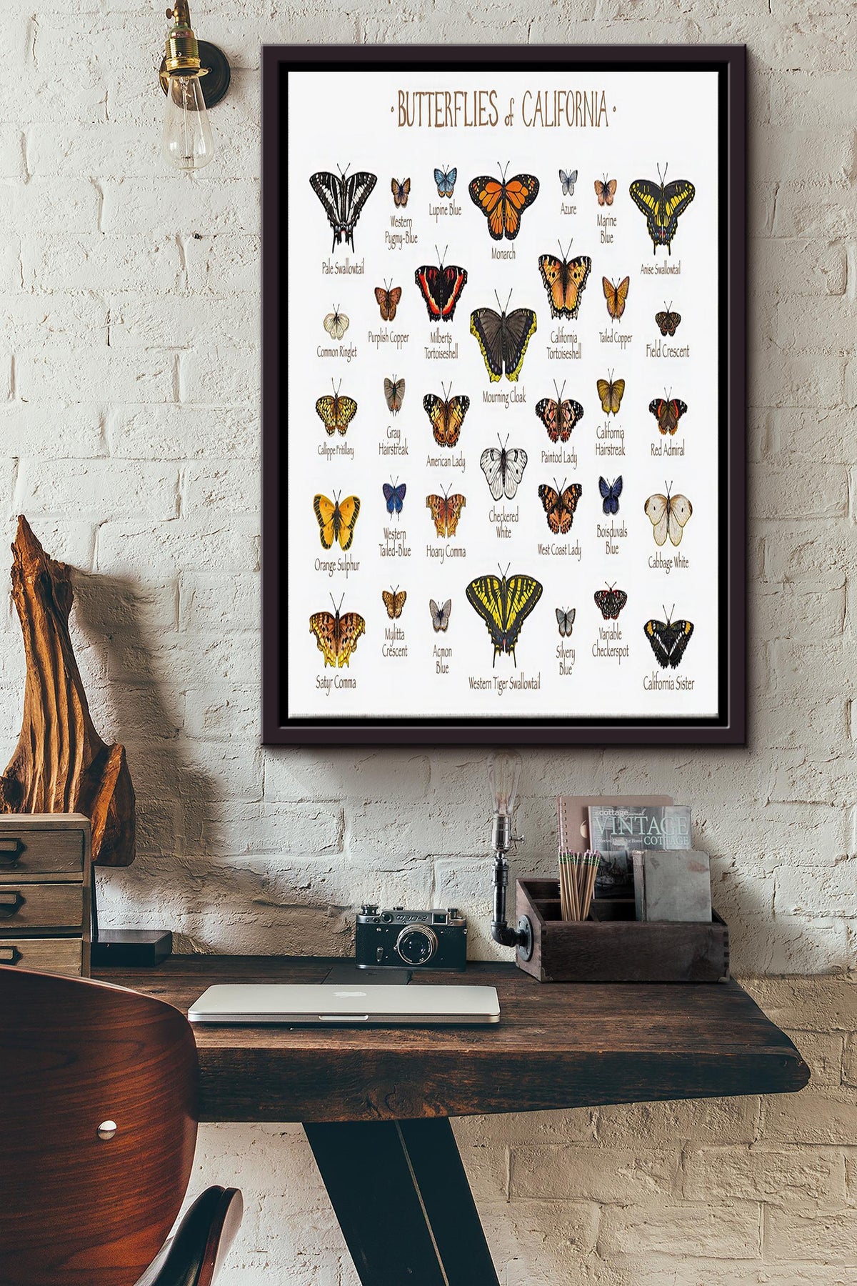 Butterfly Of California Poster - Home Decor Wall Art - Gift For Butterfly Lover, Insect Collector Framed Matte Canvas Framed Prints, Canvas