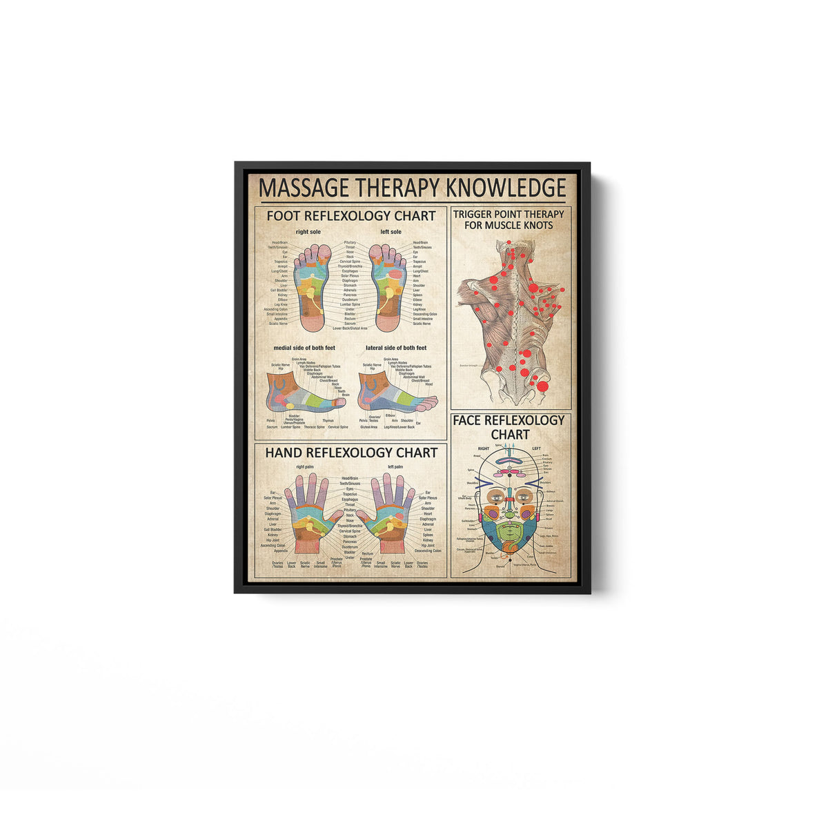 Massage Therapist Foot Reflexology Chart Framed Canvas Poster, Trigger Point Therapy Wall Art, Massage Therapist Gift GS20240923067