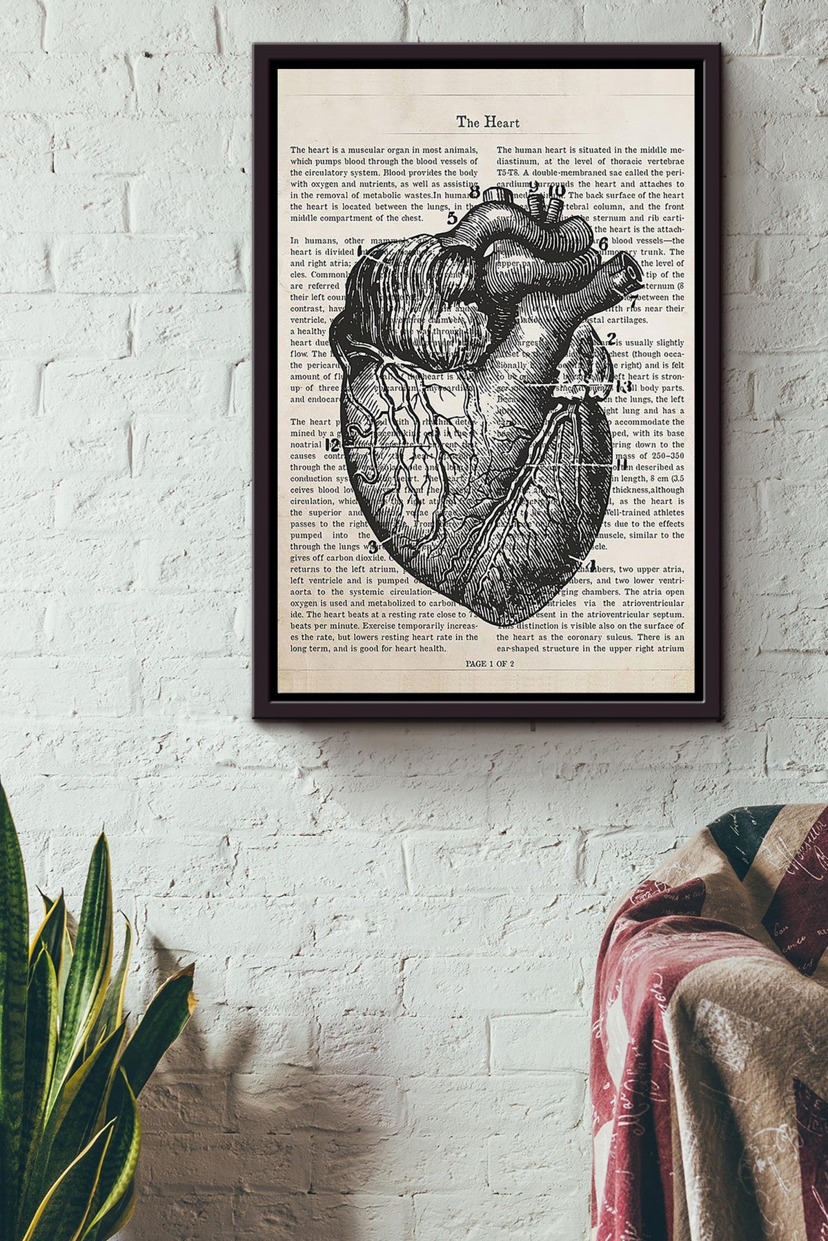 Cardiologist Flower Heart Collection Poster Framed Canvas