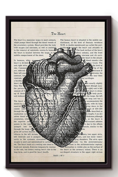 Cardiologist Flower Heart Collection Poster Framed Canvas