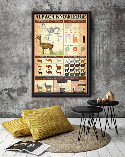 Basic Information About Alpaca Animal Knowledge For Homeschool Nusery Kids Bedroom Decor Framed Canvas
