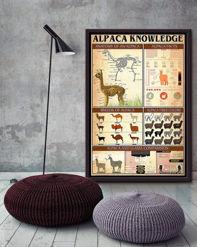 Basic Information About Alpaca Animal Knowledge For Homeschool Nusery Kids Bedroom Decor Framed Canvas