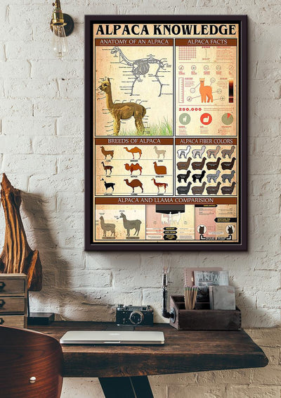 Basic Information About Alpaca Animal Knowledge For Homeschool Nusery Kids Bedroom Decor Framed Canvas