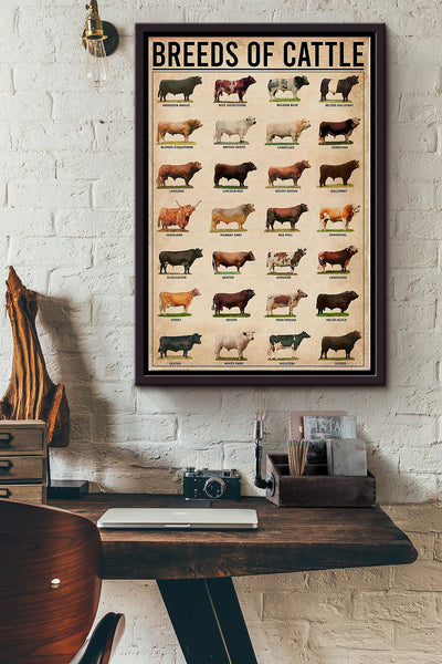 Breeds Of Cattle Cow Poster Framed Matte Canvas