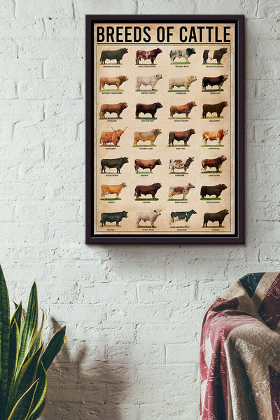 Breeds Of Cattle Cow Poster Framed Matte Canvas