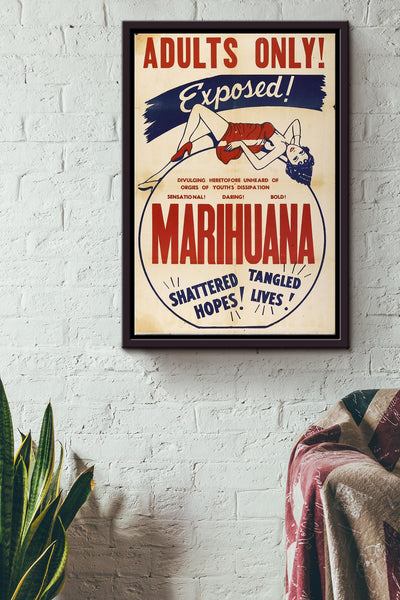 Adults Only Marihuana Exposed Poster Framed Matte Canvas