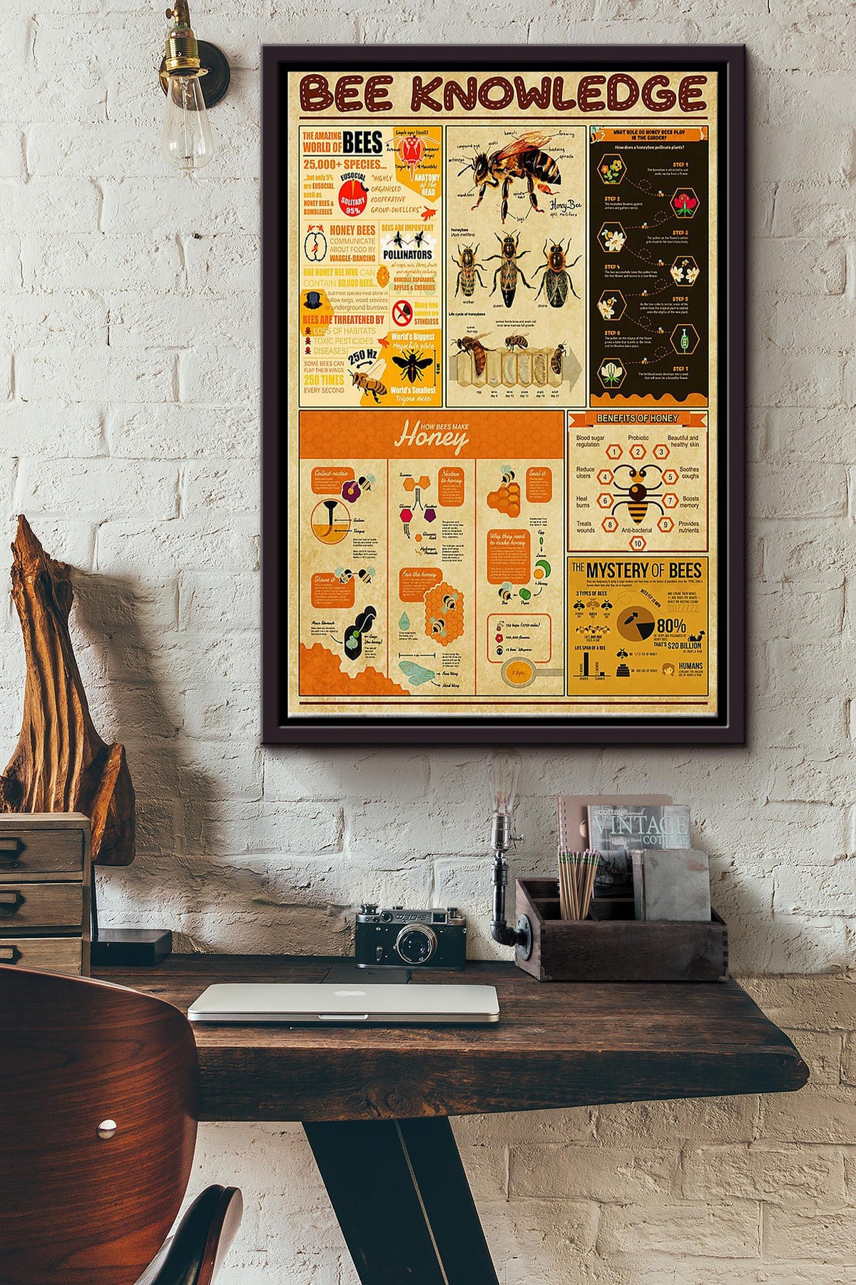 Bee Knowledge Inforgraphic Poster Framed Matte Canvas