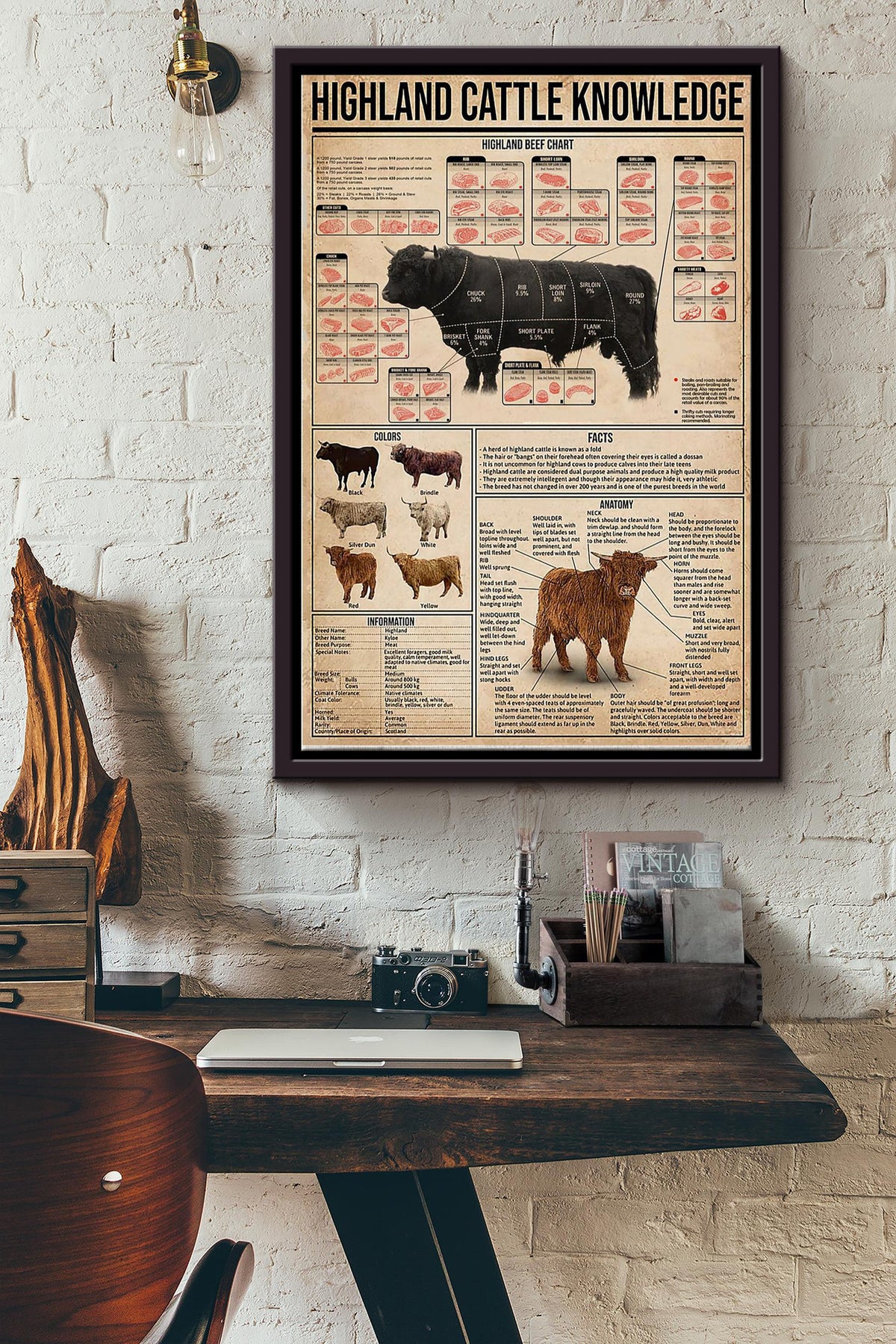 Highland Cattle Knowledge Things You Need To Know About Highland Cattle Poster Framed Matte Canvas