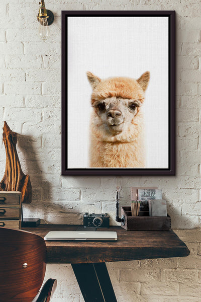 Cute Alpaca Poster Framed Matte Canvas