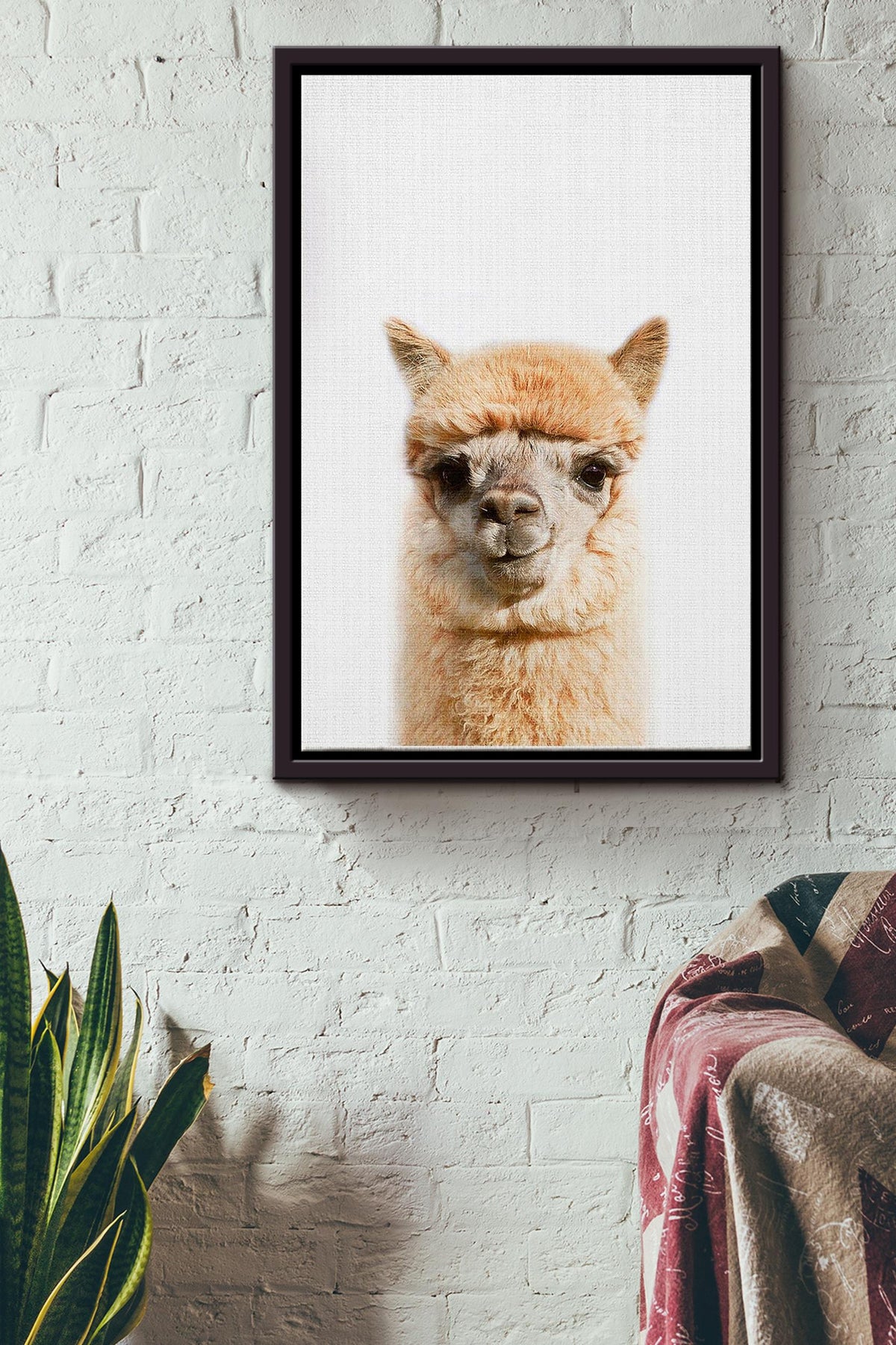 Cute Alpaca Poster Framed Matte Canvas