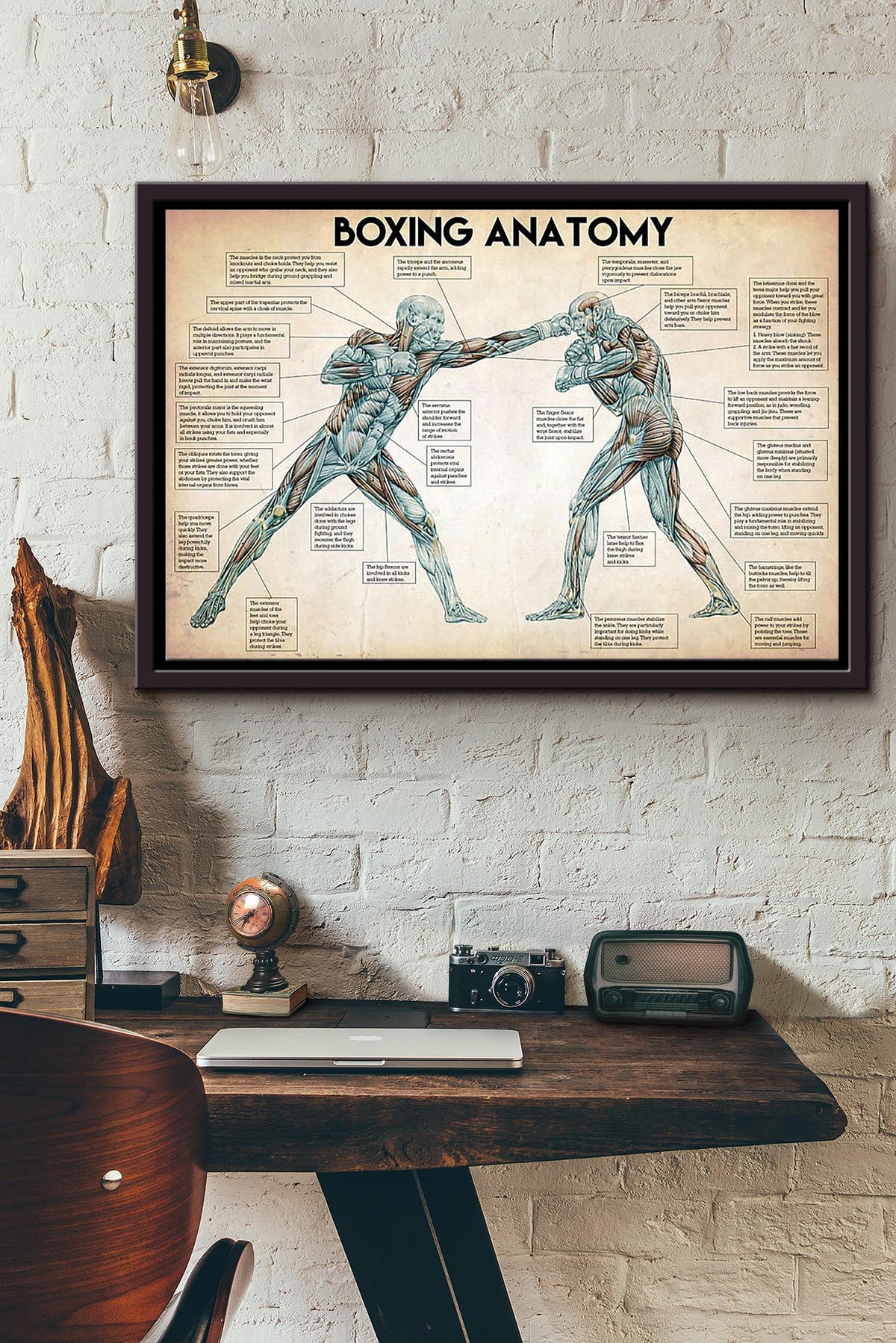 Boxing Anatomy Body Structure Poster n Framed Matte Canvas