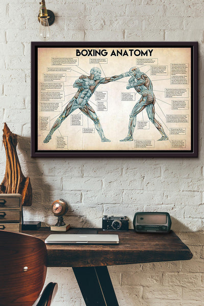 Boxing Anatomy Body Structure Poster n Framed Matte Canvas