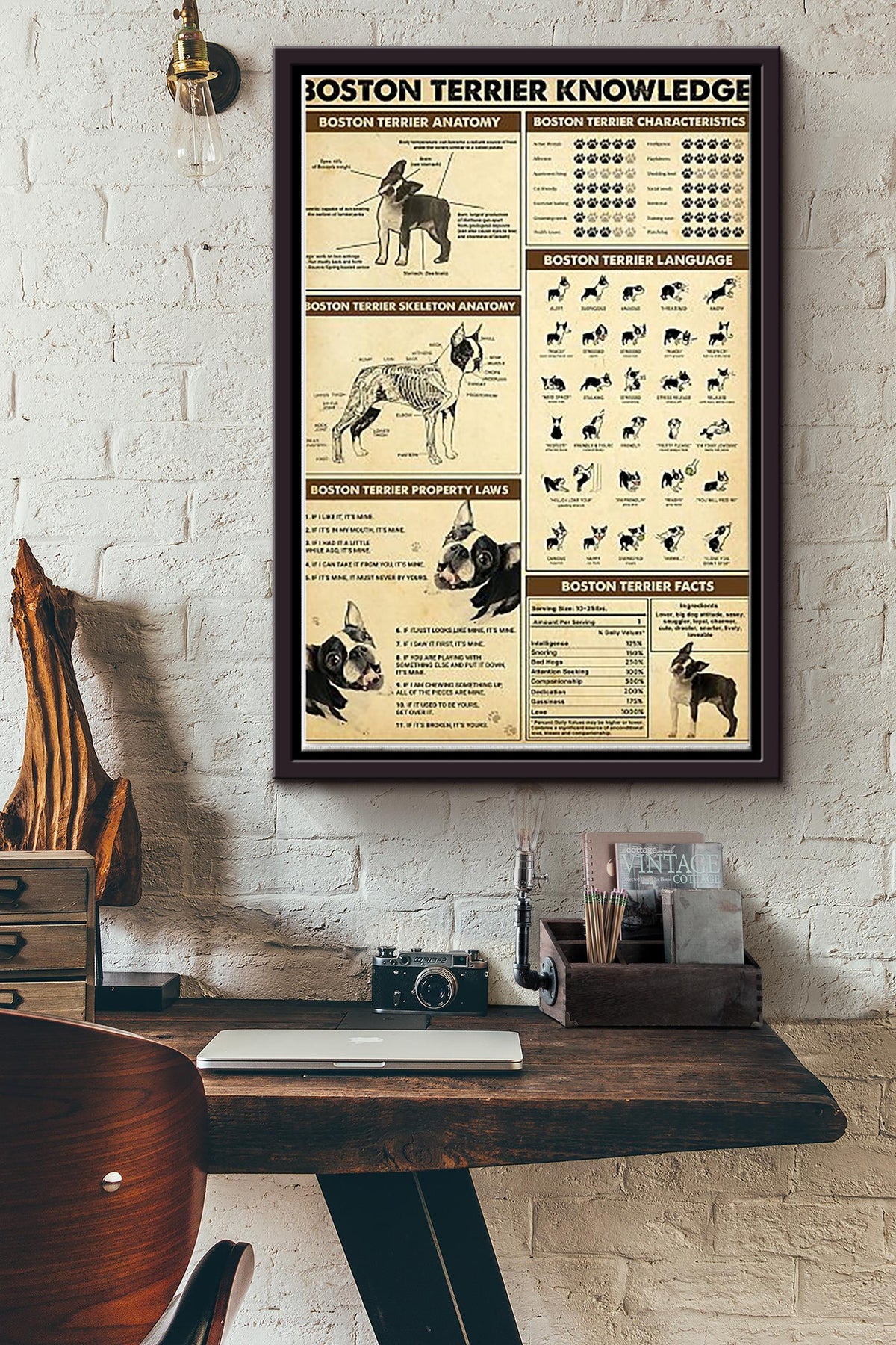 Boston Terrier Knowledge Dogs Breeds Vintage Framed Matte Canvas