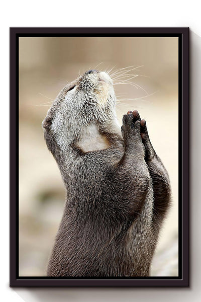 Cute Otter Begging Gift For Otter Lover Wild Animal Lover Framed Canvas