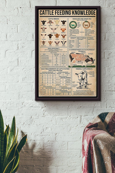 Cattle Feeding Knowledge Things You Need To Know About Cattle Feeding Poster Framed Matte Canvas