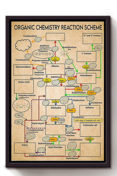 Organic Chemistry Reaction Scheme Science Knowledge For Homeschool Home Decor Framed Canvas
