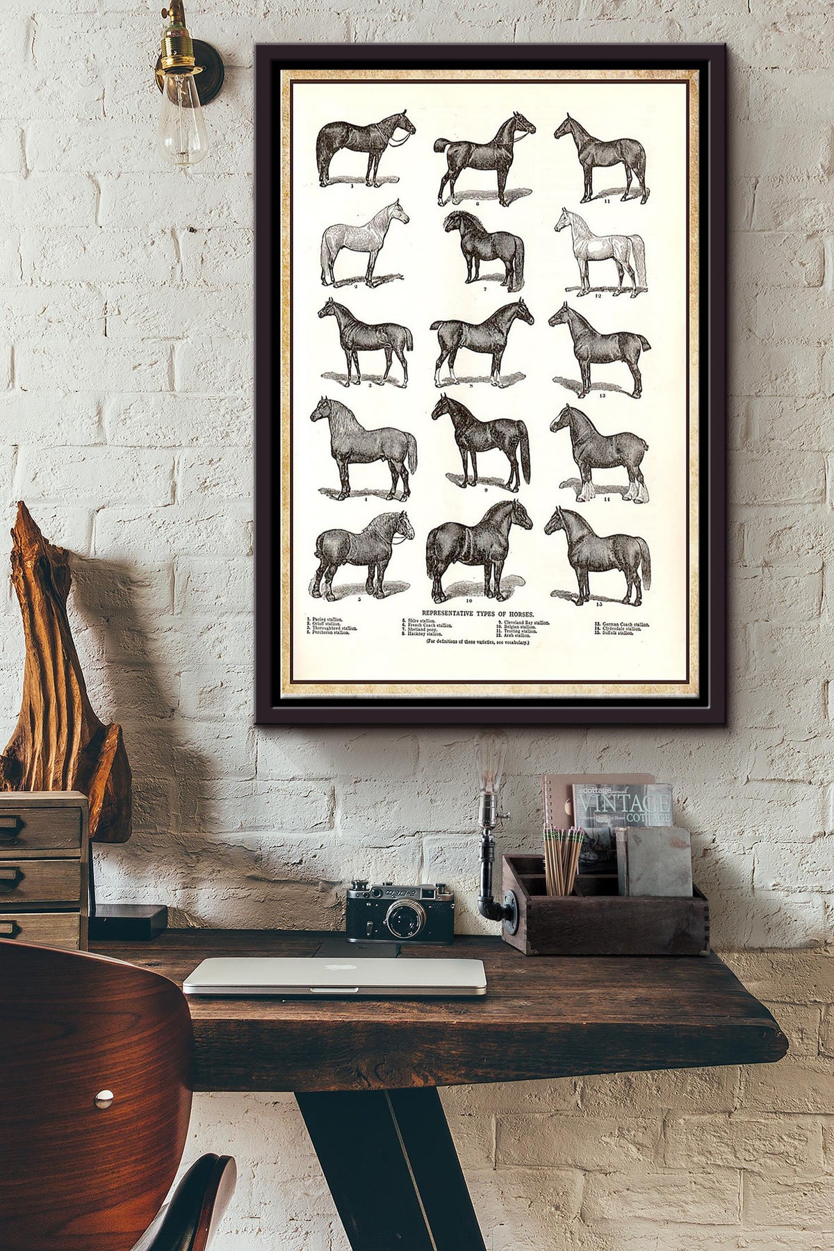 Representative Types Of Horses Poster Framed Matte Canvas