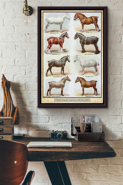 PRINCIPALES RACES CHEVALINES HORSE POSTER Framed Matte Canvas