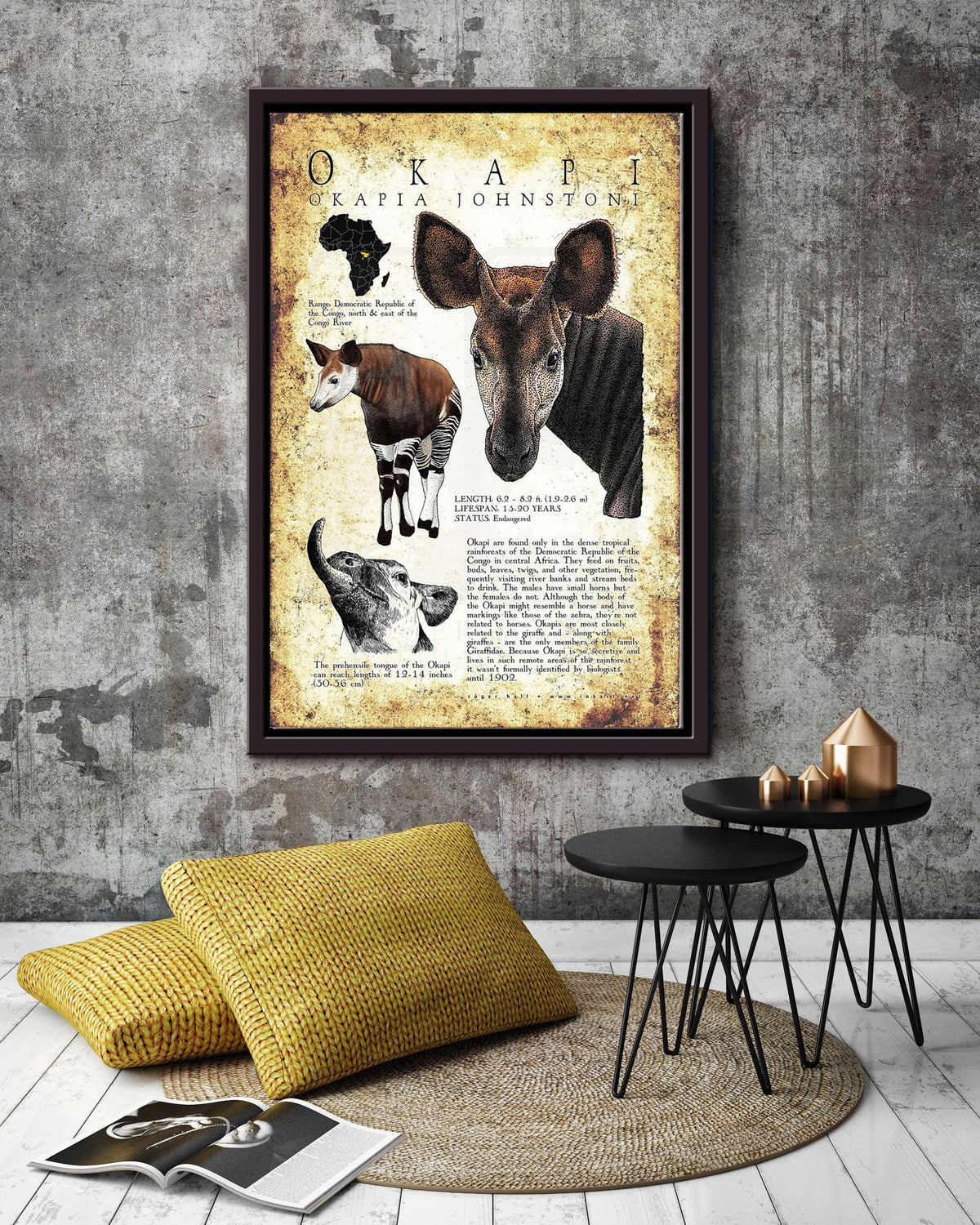 Okapi Poster Animal Wall Art For Lab Museum Decor Framed Matte Canvas Framed Prints, Canvas