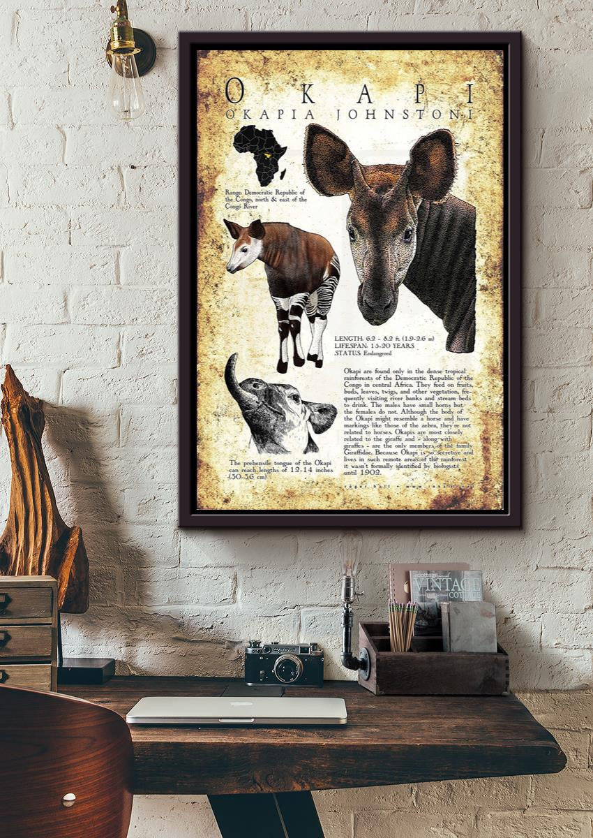 Okapi Poster Animal Wall Art For Lab Museum Decor Framed Matte Canvas Framed Prints, Canvas