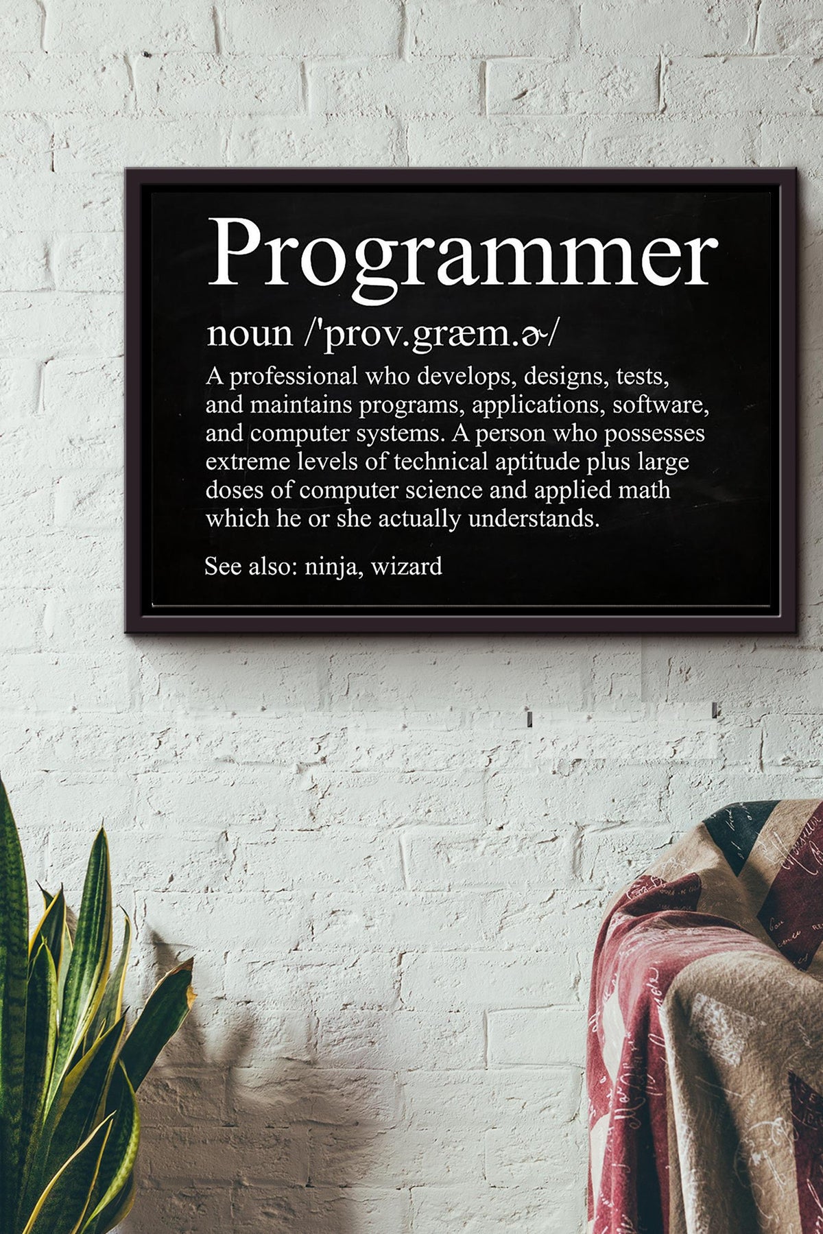 Programmer Noun What Does Programmer Means Poster n Framed Matte Canvas