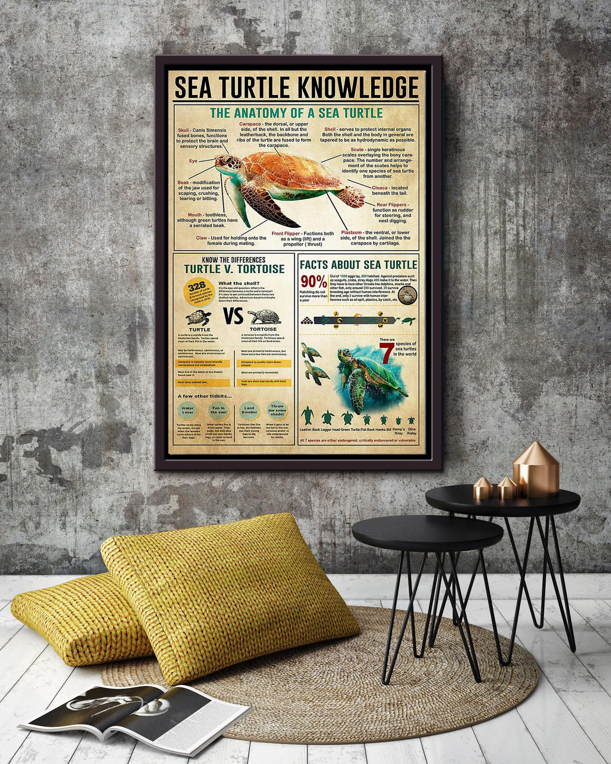 Sea Turtle Basic Information Animal Knowledge Wall Art For Homeschool Home Decor Framed Canvas Framed Prints, Canvas