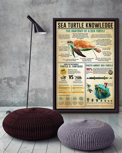 Sea Turtle Basic Information Animal Knowledge Wall Art For Homeschool Home Decor Framed Canvas Framed Prints, Canvas