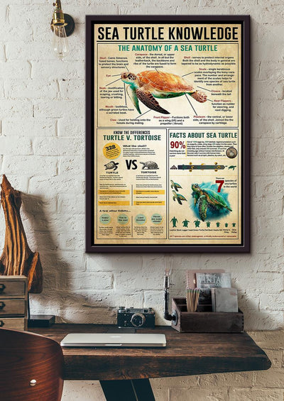 Sea Turtle Basic Information Animal Knowledge Wall Art For Homeschool Home Decor Framed Canvas Framed Prints, Canvas