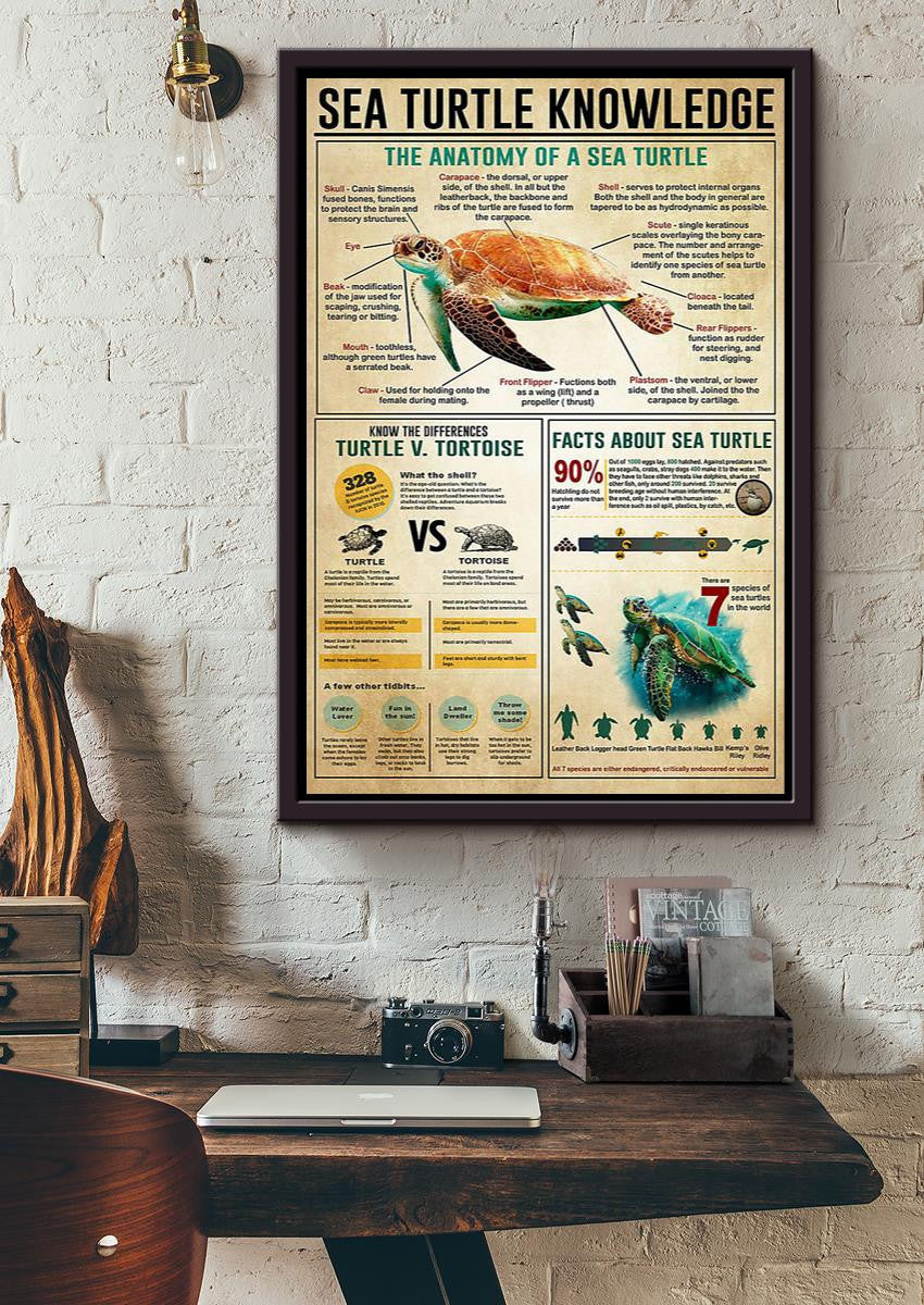 Sea Turtle Basic Information Animal Knowledge Wall Art For Homeschool Home Decor Framed Canvas Framed Prints, Canvas