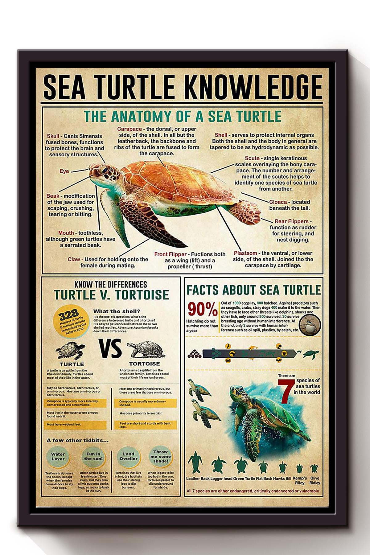 Sea Turtle Basic Information Animal Knowledge Wall Art For Homeschool Home Decor Framed Canvas Framed Prints, Canvas