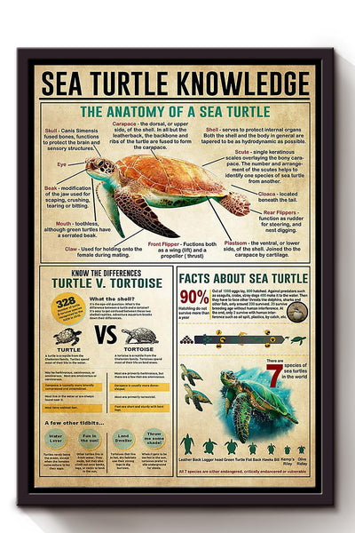 Sea Turtle Basic Information Animal Knowledge Wall Art For Homeschool Home Decor Framed Canvas Framed Prints, Canvas