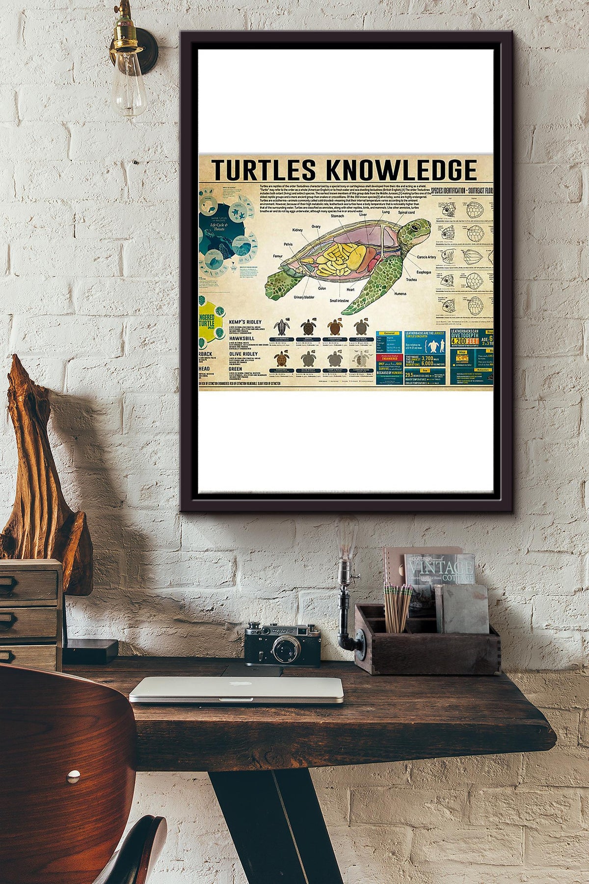 Turtles Knowledge Things You Need To Know About Turtles Poster Framed Matte Canvas