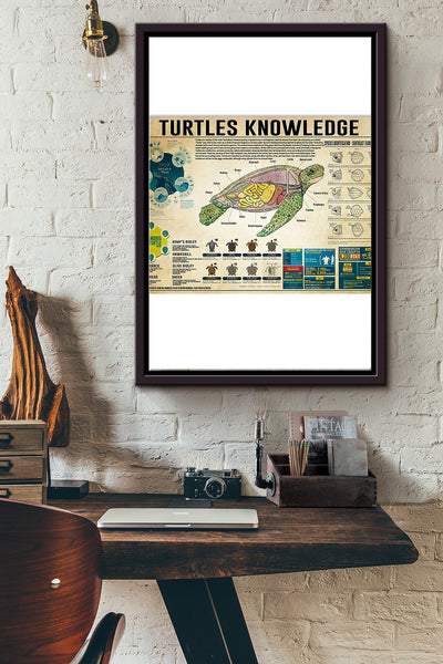 Turtles Knowledge Things You Need To Know About Turtles Poster Framed Matte Canvas