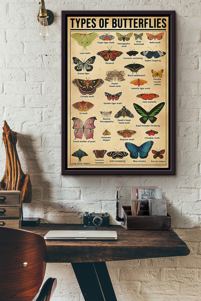 Types Of Butterflies Name Poster Framed Matte Canvas